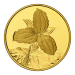 Random Year (1998-2003) Provincial Floral Series 99999 Gold Coin | Royal Canadian Mint
