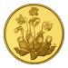 Random Year (2004-2011) Provincial Floral Series 99999 Gold Coin | Royal Canadian Mint