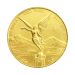 1/2 oz 2022 Mexican Libertad Gold Coin | Mexican Mint