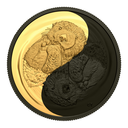 1 oz 2022 Black and Gold: The Sea Otter Silver Coin | Royal Canadian Mint
