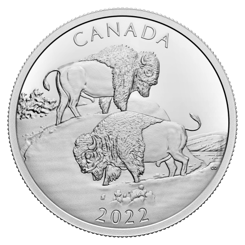 Pièce 2 onces d'argent Le bison majestueux 2022 | Monnaie royale canadienne