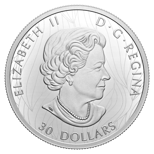 Pièce 2 onces d'argent Le bison majestueux 2022 | Monnaie royale canadienne