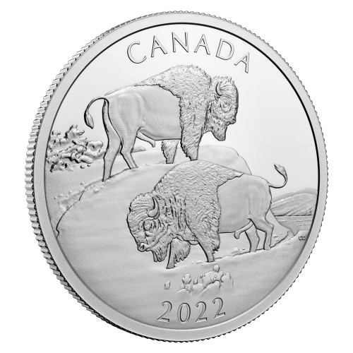 Pièce 2 onces d'argent Le bison majestueux 2022 | Monnaie royale canadienne