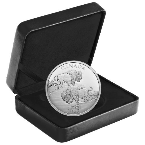 Pièce 2 onces d'argent Le bison majestueux 2022 | Monnaie royale canadienne