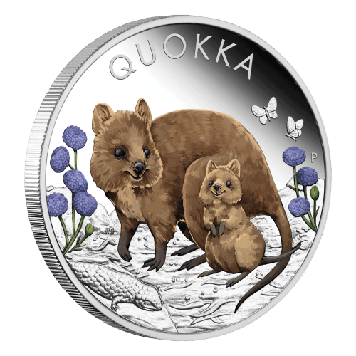 1 oz 2022 Quokka Colourized Proof Silver Coin | Perth Mint