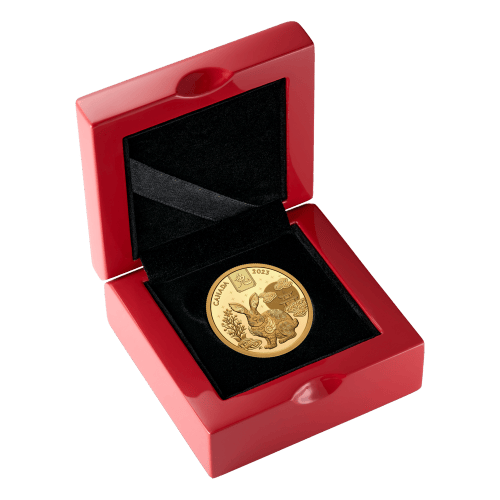 1/2 oz 2023 Lunar Year of the Rabbit Gold Coin | Royal Canadian