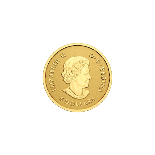 Ensemble de 4 pièces d'or 2023 Feuille d'érable multidimensionnelles | Monnaie royale canadienne