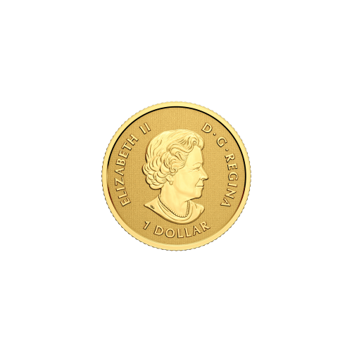 Ensemble de 4 pièces d'or 2023 Feuille d'érable multidimensionnelles | Monnaie royale canadienne