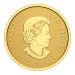 Ensemble de 4 pièces d'or 2023 Feuille d'érable multidimensionnelles | Monnaie royale canadienne