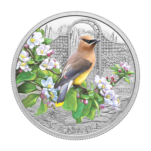 1 oz 2022 Colourful Birds: Cedar Waxwing Silver Coin | Royal Canadian Mint