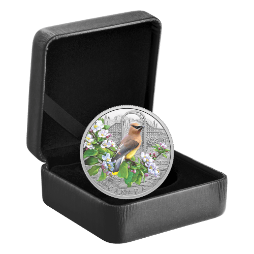 1 oz 2022 Colourful Birds: Cedar Waxwing Silver Coin | Royal Canadian Mint