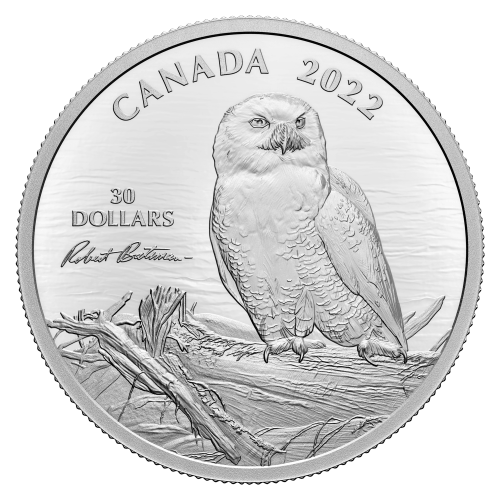 Pièce 2 onces d'argent Snowy Owl on Driftwood de Robert Bateman 2022 | Monnaie royale canadienne