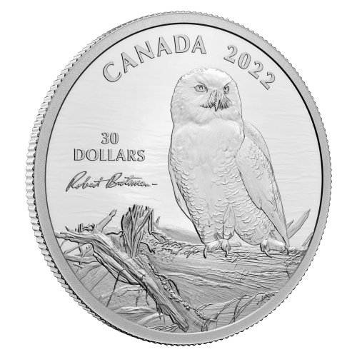 Pièce 2 onces d'argent Snowy Owl on Driftwood de Robert Bateman 2022 | Monnaie royale canadienne