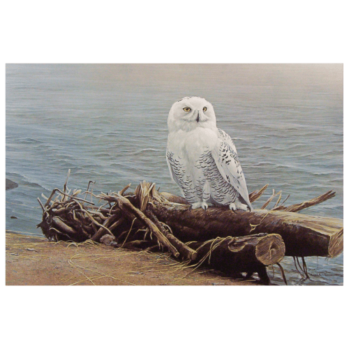 Pièce 2 onces d'argent Snowy Owl on Driftwood de Robert Bateman 2022 | Monnaie royale canadienne