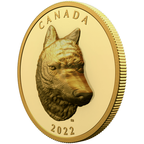 Pièce 2 onces en or Relief exceptionnel Loup Gris 2022 | Monnaie royale canadienne