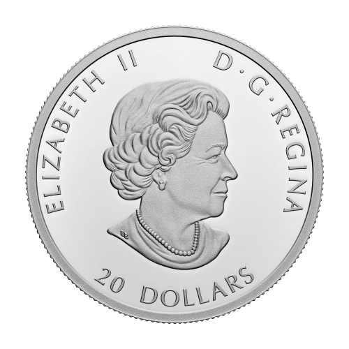 1 oz 2022 Remembrance Day Silver Coin | Royal Canadian Mint