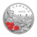 1 oz 2022 Remembrance Day Silver Coin | Royal Canadian Mint