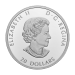 1 oz 2022 Remembrance Day Silver Coin | Royal Canadian Mint