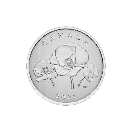 Pièce 1/4 once d'argent Grands moments : Jour du souvenir 2022 | Monnaie royale canadienne