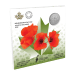 Pièce 1/4 once d'argent Grands moments : Jour du souvenir 2022 | Monnaie royale canadienne
