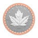 Set of 5 x 2023 35th Anniversary of the Silver Maple Leaf Silver Coins | Royal Canadian Mint