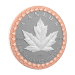 Set of 5 x 2023 35th Anniversary of the Silver Maple Leaf Silver Coins | Royal Canadian Mint
