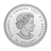 Set of 2 x 2022 Relics of New France Louis XIV 30 Deniers: Replica and Relic Silver Coins | Royal Canadian Mint