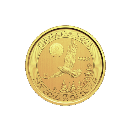 1/4 oz 2021 Goshawk Gold Coin | Royal Canadian Mint