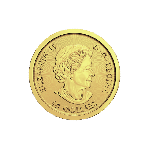 1/4 oz 2021 Goshawk Gold Coin | Royal Canadian Mint