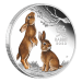 1 oz 2023 Australian Lunar Series III: Year of the Rabbit Colourized Proof Silver Coin | Perth Mint