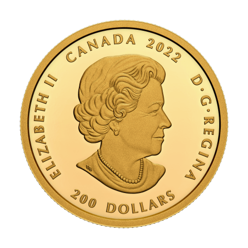 Pièce 1 once d'or Très haut relief Collection Pureté cristalline : Diamant Forevermark Black Label coussin 2022 | Monnaie royale canadienne