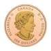 1 oz 2023 Peace Dollar Gold Coin | Royal Canadian Mint