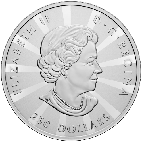 1 kilo 2023 Multifaceted Maples Silver Coin | Royal Canadian Mint