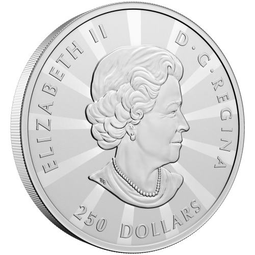 1 kilo 2023 Multifaceted Maples Silver Coin | Royal Canadian Mint