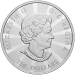 1 kilo 2023 Multifaceted Maples Silver Coin | Royal Canadian Mint