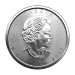 1 oz 2023 Canadian Maple Leaf Silver Coin | Royal Canadian Mint