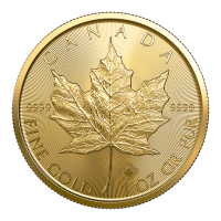 Gold Maples