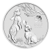Pièce 1 once d'argent Série Lunaire III australienne : Année du Lapin 2023 | Monnaie de Perth