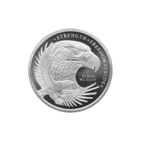 1/4 oz Silver Rounds