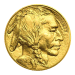 1 oz 2023 Buffalo Gold Coin | United States Mint