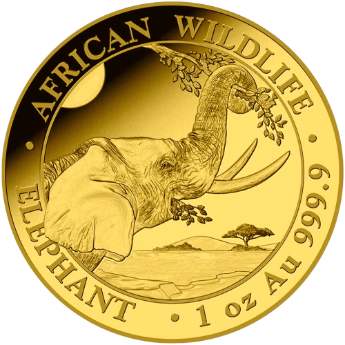 1 oz 2023 Somalia Elephant Gold Coin | Bavarian State Mint