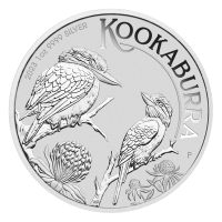 Kookaburras