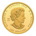 1 oz 2023 Celebrating Canada's Diversity: Knowledge and Interconnection Abalone Gold Coin | Royal Canadian Mint