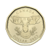 Set of 5 x 2023 Happy Birthday Gift Coins | Royal Canadian Mint