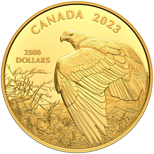 Pièce 1 kilo en or Vantage Point - Bald Eagle : Robert Bateman 2023 | Monnaie royale canadienne