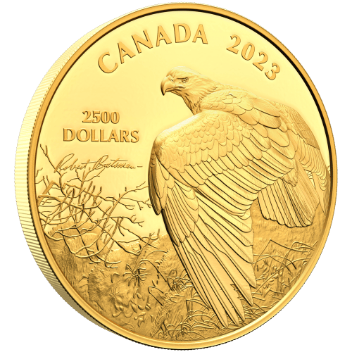 Pièce 1 kilo en or Vantage Point - Bald Eagle : Robert Bateman 2023 | Monnaie royale canadienne