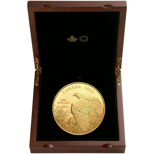 Pièce 1 kilo en or Vantage Point - Bald Eagle : Robert Bateman 2023 | Monnaie royale canadienne