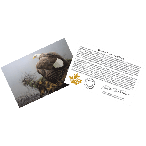 Pièce 1 kilo en or Vantage Point - Bald Eagle : Robert Bateman 2023 | Monnaie royale canadienne