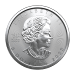Pièce 1 once d'argent Précieuse feuille d'argent canadienne 2023 | Monnaie royale canadienne