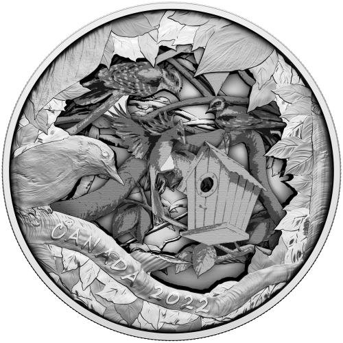 2022 Birds in Shadow Box Silver Coin | Royal Canadian Mint